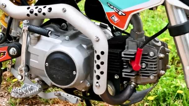 Pit bike mini motokros motor detail — Stock video