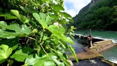 Narni 'li Stifone Umbrian vadilerinde ve Kara Nehirde