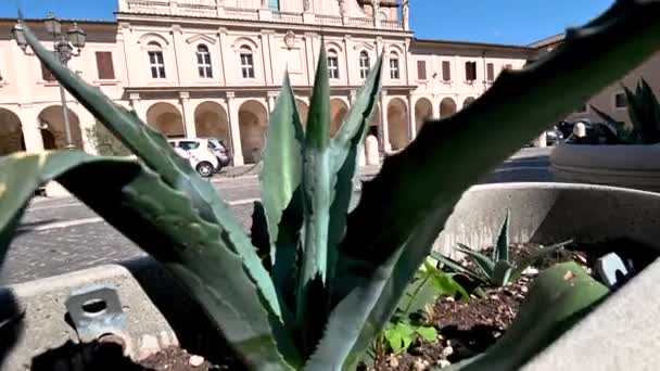 Cathédrale de l'église de terni dans la partie historique de la ville — Video