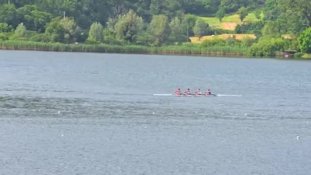 Entrenamiento de remeros en el lago Piediluco en umbria — Vídeo de stock