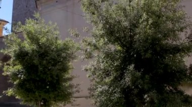 Rieti 'deki Santa Maria Katedrali' nin parçacığı