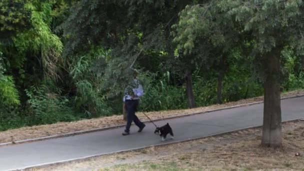 Terni Itália Julho 2021 Homem Levando Cachorro Para Parque — Vídeo de Stock