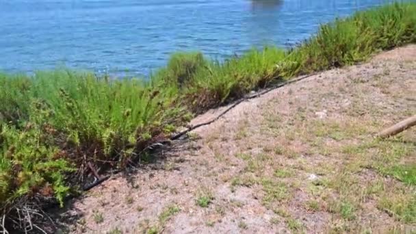 El famoso molino en el mar en orbetello — Vídeo de stock