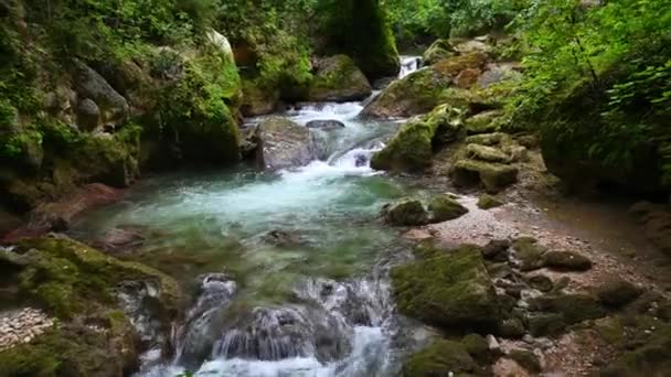 Říční potok a vodopády v úseku po vodopádu bažiny — Stock video