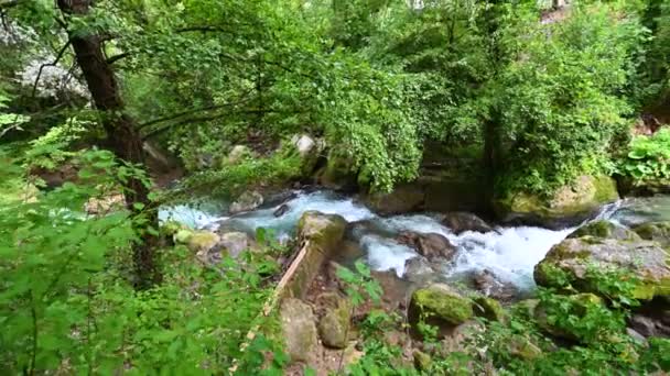 Ribeiro e cachoeiras no trecho após a cachoeira de marmore — Vídeo de Stock