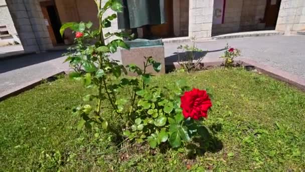 Monumento di santa rita di cascia a roccaporena — Video Stock