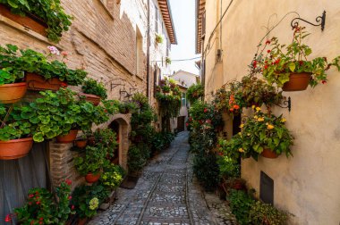 Spello şehrinde çiçekli bir sokak