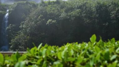 Yazın Umbria 'da Marmore Şelalesi