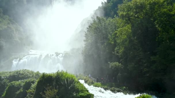 Медленное движение болотного водопада — стоковое видео