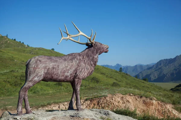A statue of a maral deer on a mountain top in the Altai Republic against a background of blue sky and green grass. Photo during a trip to Russia in the summer.