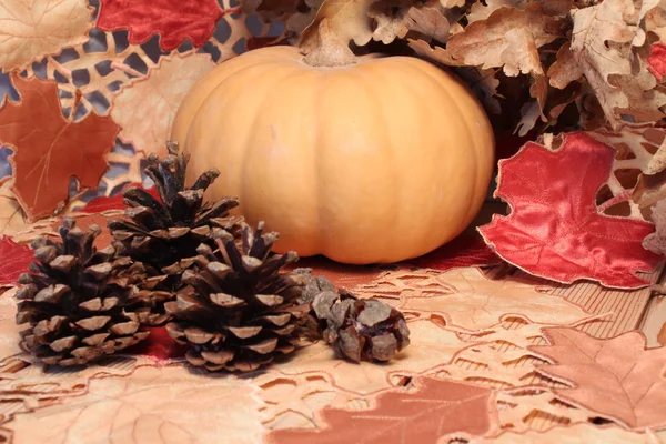 Table d'automne, citrouille et cônes sur une surface en bois — Photo