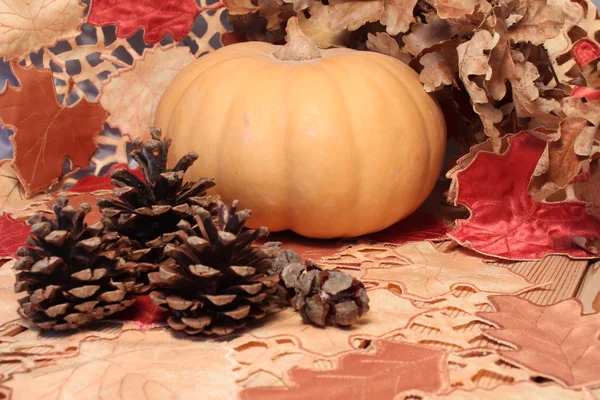 Autumn table, pumpkin and cones on a wooden surface — Stock Photo, Image