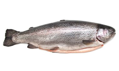 Beyaz arka planda taze alabalık balığı