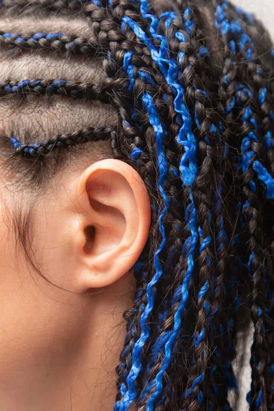 Female Hair Small Pigtails — Stock Photo, Image