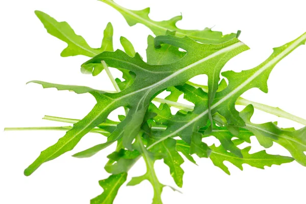 Fresh Lettuce Leaves White Background — Stock Photo, Image