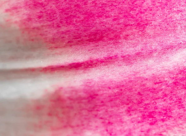Rosa Lilienblütenblatt Als Hintergrund — Stockfoto