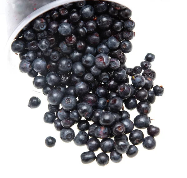 Fresh Blueberries White Background — Stock Photo, Image