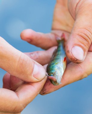 Bulanık çok renkli dağınık arkaplan