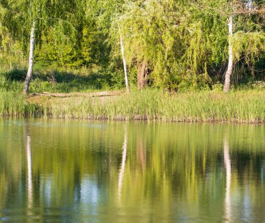 Bulanık çok renkli dağınık arkaplan