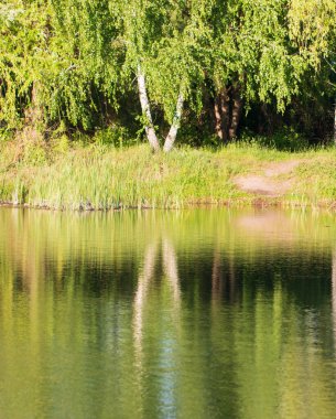 Bulanık çok renkli dağınık arkaplan