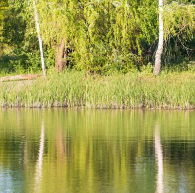 Bulanık çok renkli dağınık arkaplan