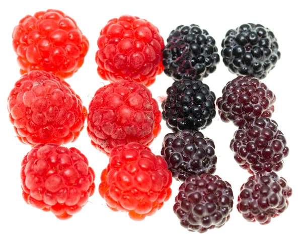 Beeren Himbeere Brombeeren Vor Weißem Hintergrund — Stockfoto