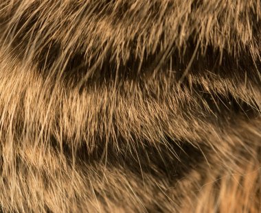 arkaplan olarak kahverengi yün