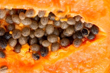 Arka planda çukurları olan papaya posası