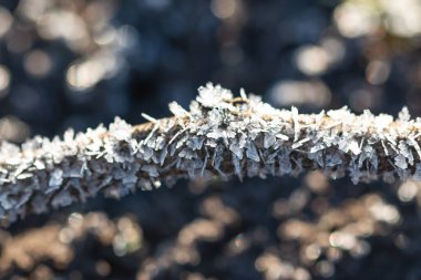 çimenler buz kristalleriyle kaplıydı.