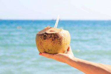 Hindistan cevizinin arka planda bir kamışla meyvesi