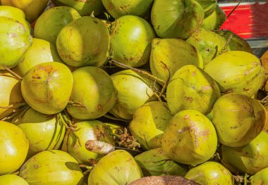 Yeşil arka planda hindistan cevizi meyvesi içmek