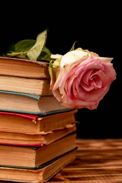 Libros Viejos Con Flor Rosa Sobre Fondo Negro — Foto de Stock