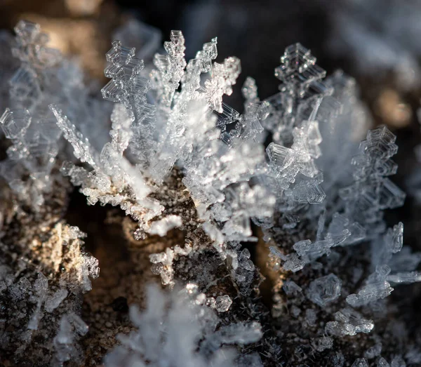 Cristales Hielo Transparentes Sobre Fondo Oscuro — Foto de Stock