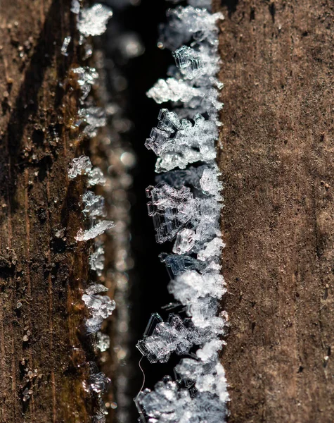 暗い背景の透明な氷の結晶は — ストック写真