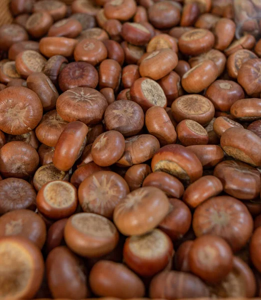 Suché Ořechy Jedlých Kaštanů Jako Pozadí — Stock fotografie