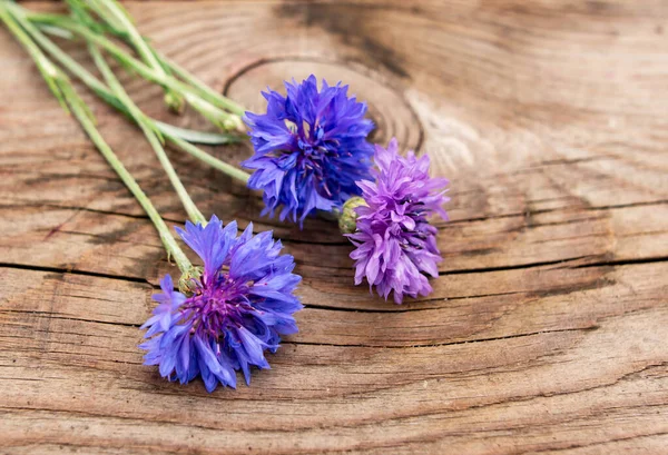 Cornflower Flowers Wooden Background Stock Image