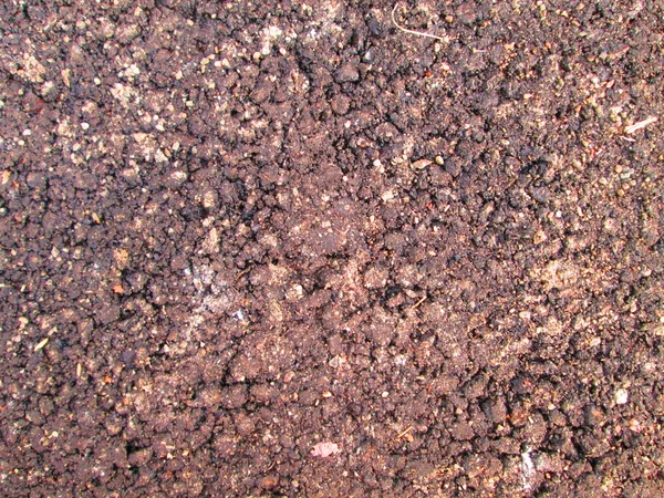 Coarse-grained asphalt — Stock Photo, Image