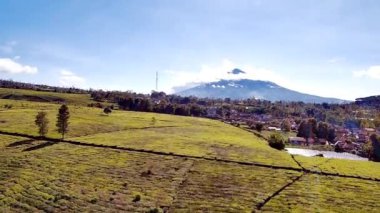 İHA kamerasından alınan yeşil çay tarlalarının güzel doğal manzarası tepeleri ve dağları görebilirsiniz.