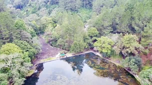 Hermoso Paisaje Natural Bosque Mirando Árboles Altos Grandes Lagos Bosque — Vídeos de Stock