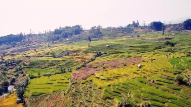 Güzel doğal manzara, yeşil tepeler, pirinç tarlalarını görebilirsiniz.