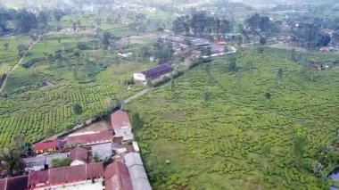 Köyün manzarası insanların evlerinden, binalarından, yollarından, geçen araçlarından, yeşil çay tarlasında insansız hava aracı kamerasından çekilen görüntülerden görülebiliyor.