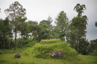 Sazlı çatıları olan geleneksel ahşap kulübeler sakin bir tatil köyünün veya kamp alanının çimenli yamacına dizilir. Güneydoğu Asya 'daki konaklamanın basitliğini ve doğal güzelliğini yansıtıyor..