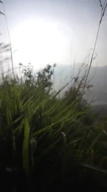 Pangradinan Dağı 'ndaki puslu sabah atmosferi yeşil vadi ve tepeleri kaplayan sis tabakalarıyla doğal güzelliği gözler önüne seriyor..