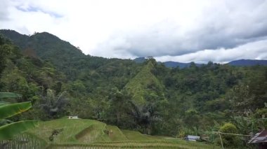 Dağları çevreleyen canlı tropikal bitki örtüsünün havadan çekilmiş görüntüsü sakin bir doğal ortamda sıralanır..