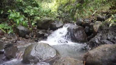 Bereketli tropikal bir ortamda kayaların üzerinden akan küçük bir orman deresi..