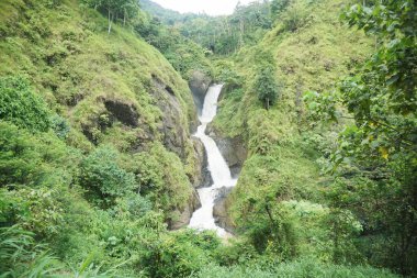 Tropikal yağmur ormanlarındaki yemyeşil uçurumlardan akan görkemli çok katmanlı şelale..