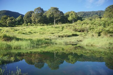 Ağaçlı ve tepeli yeşil doğal manzara sakin su yüzeyine yansıyor..