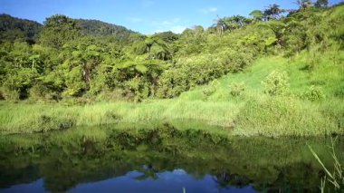 Ağaçlı ve tepeli yeşil doğal manzara sakin su yüzeyine yansıyor..