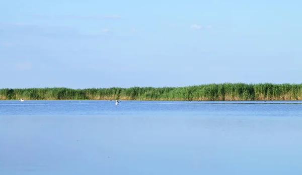 Дунайский Дельта Водно Болотный Ландшафт Румынии Пейзаж Состоящий Воды Лагуны — стоковое фото