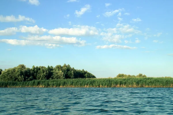 Reed Beds Lagoon Danube Delta Landscape Freshwater Wetlands Mouth Danube — Stock Photo, Image